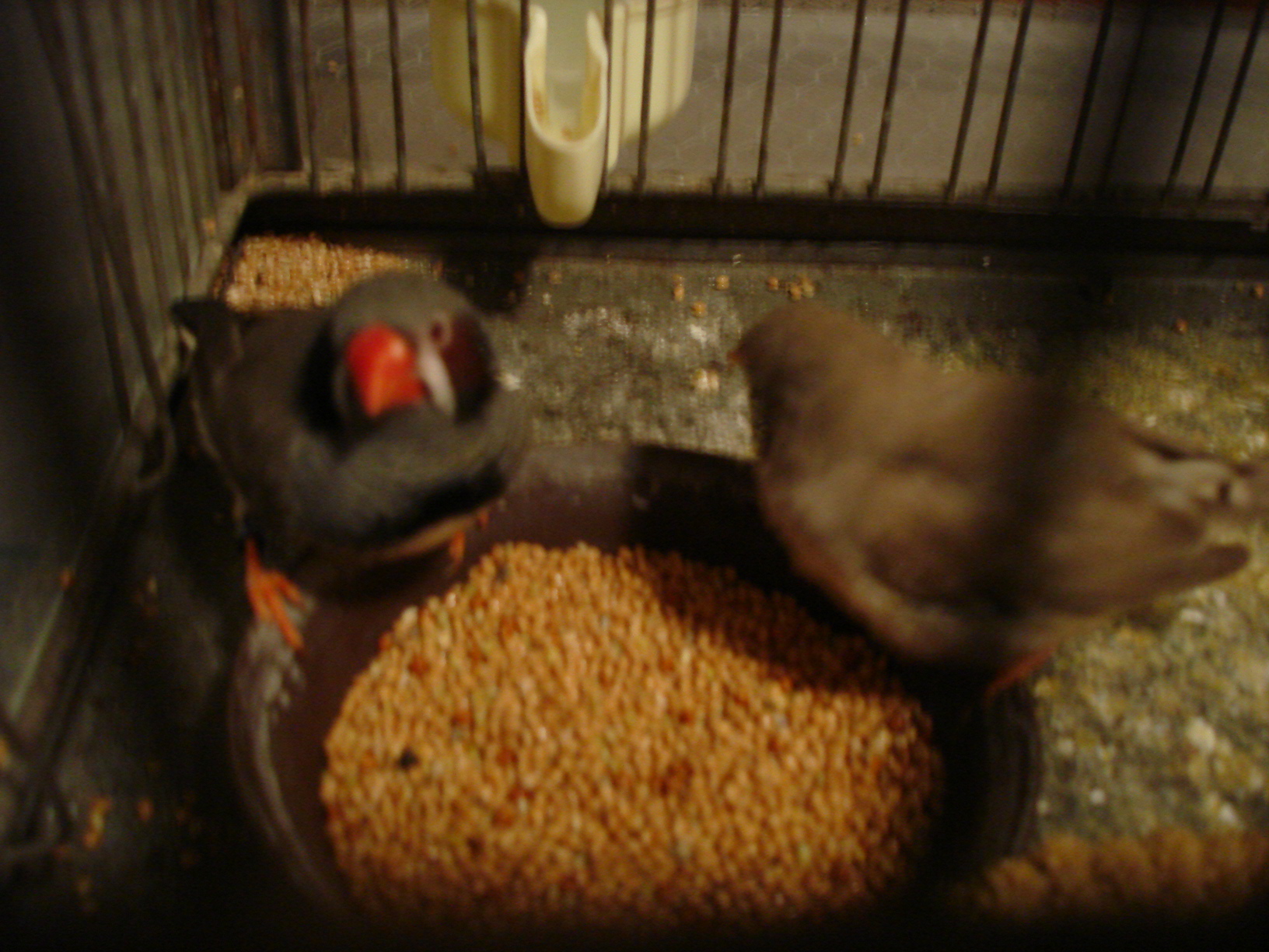 DSC03069.JPG