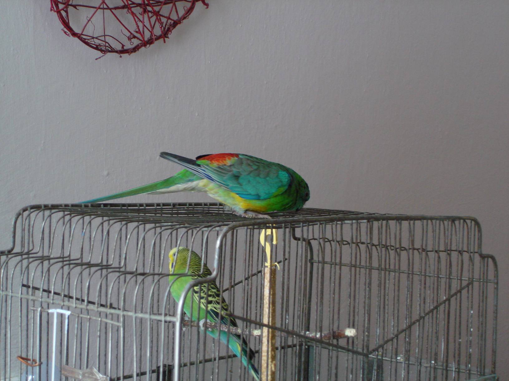 19.04.2009 083.jpg
