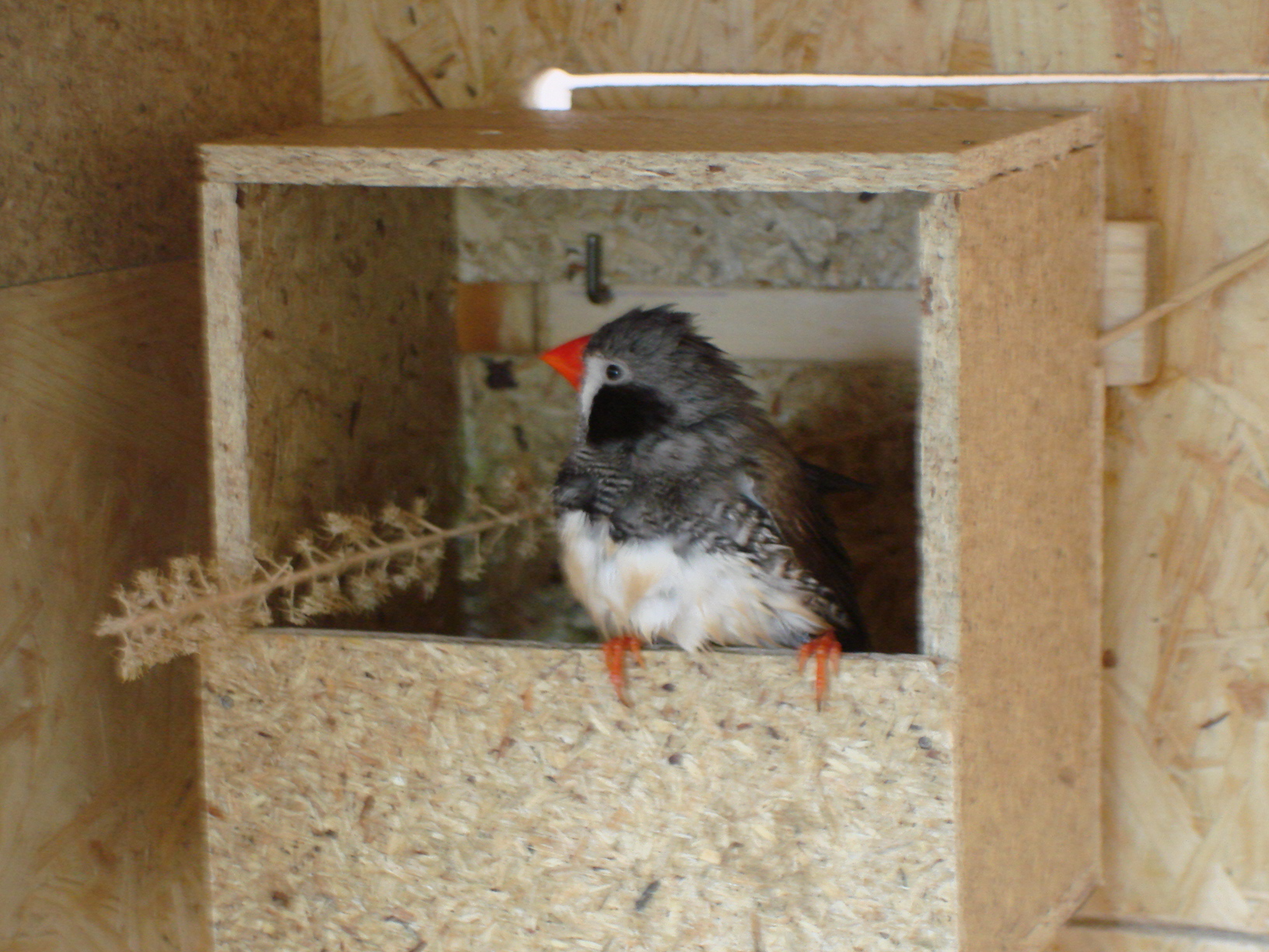 19.04.2009 089.jpg
