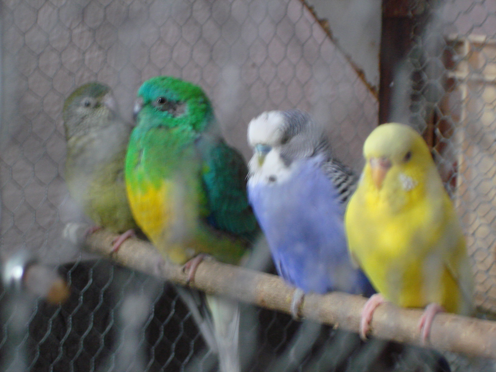 19.04.2009 024.jpg