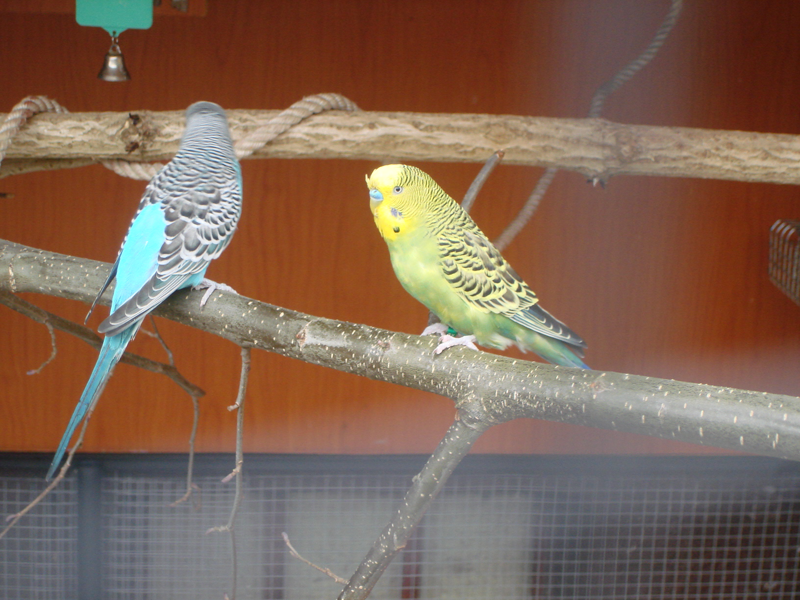 DSC03927.JPG