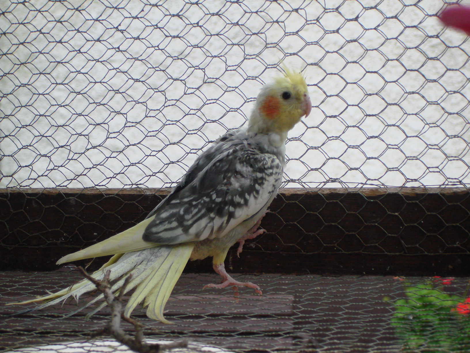DSC04376.JPG