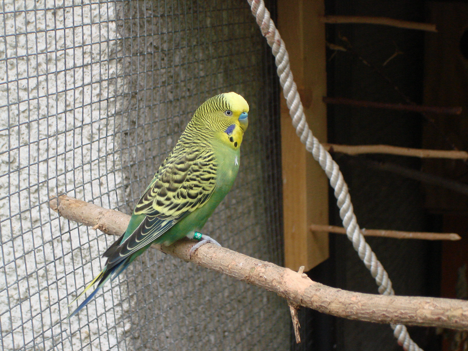 DSC04380.JPG
