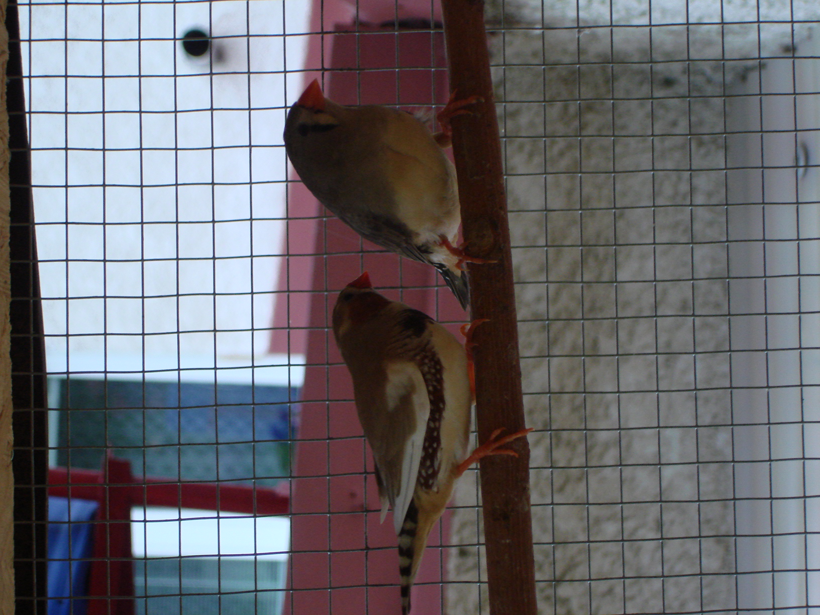 DSC04384.JPG