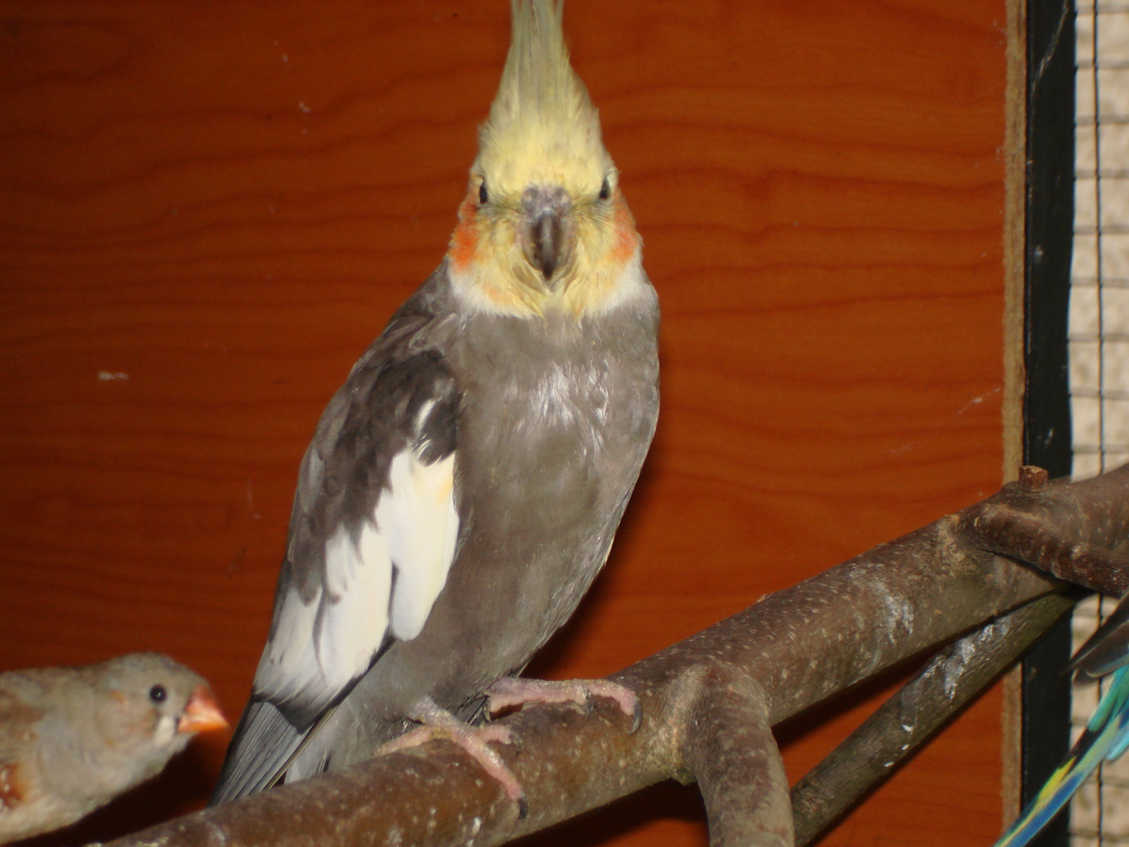 DSC04385.JPG