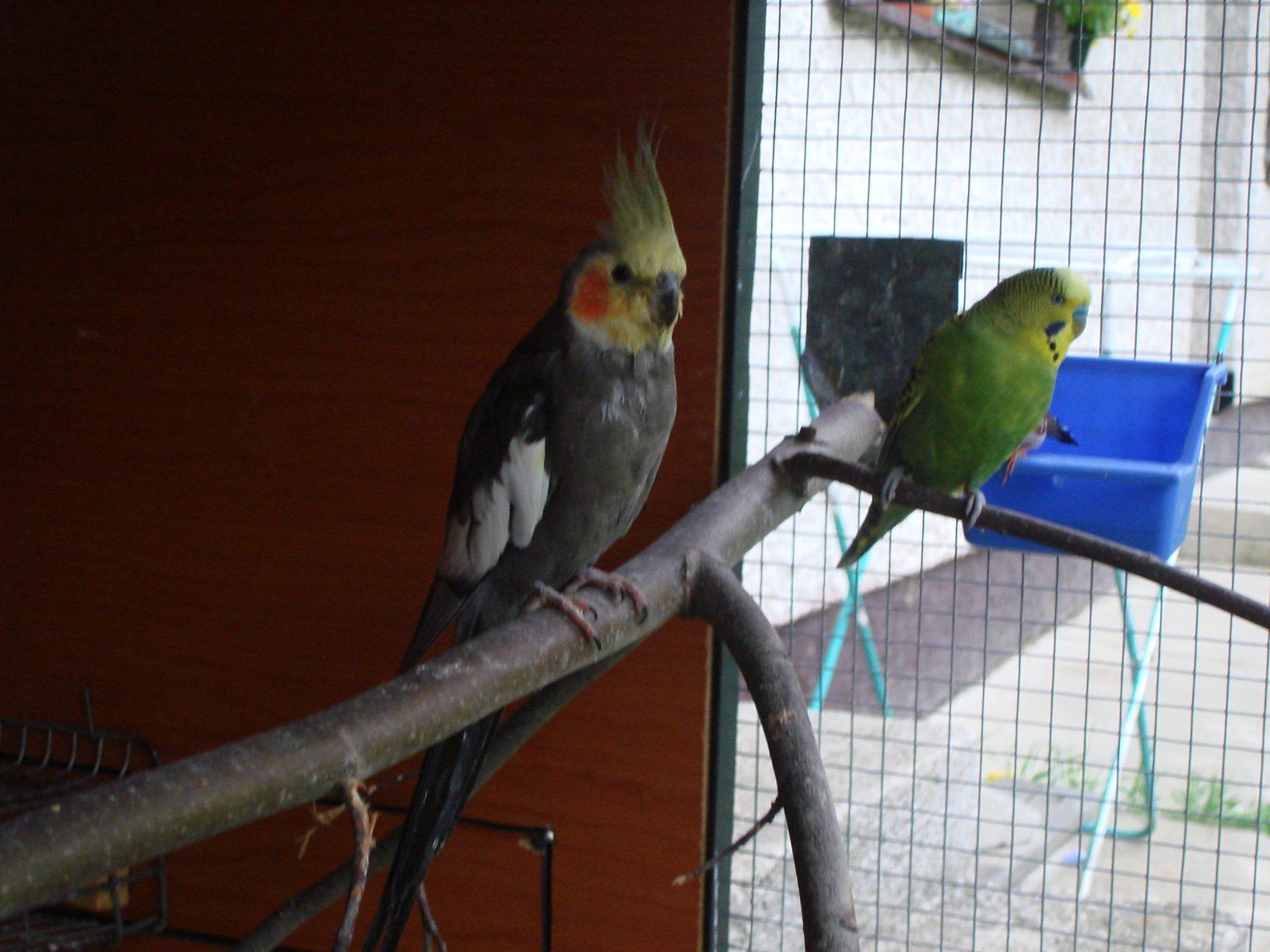 DSC04386.JPG