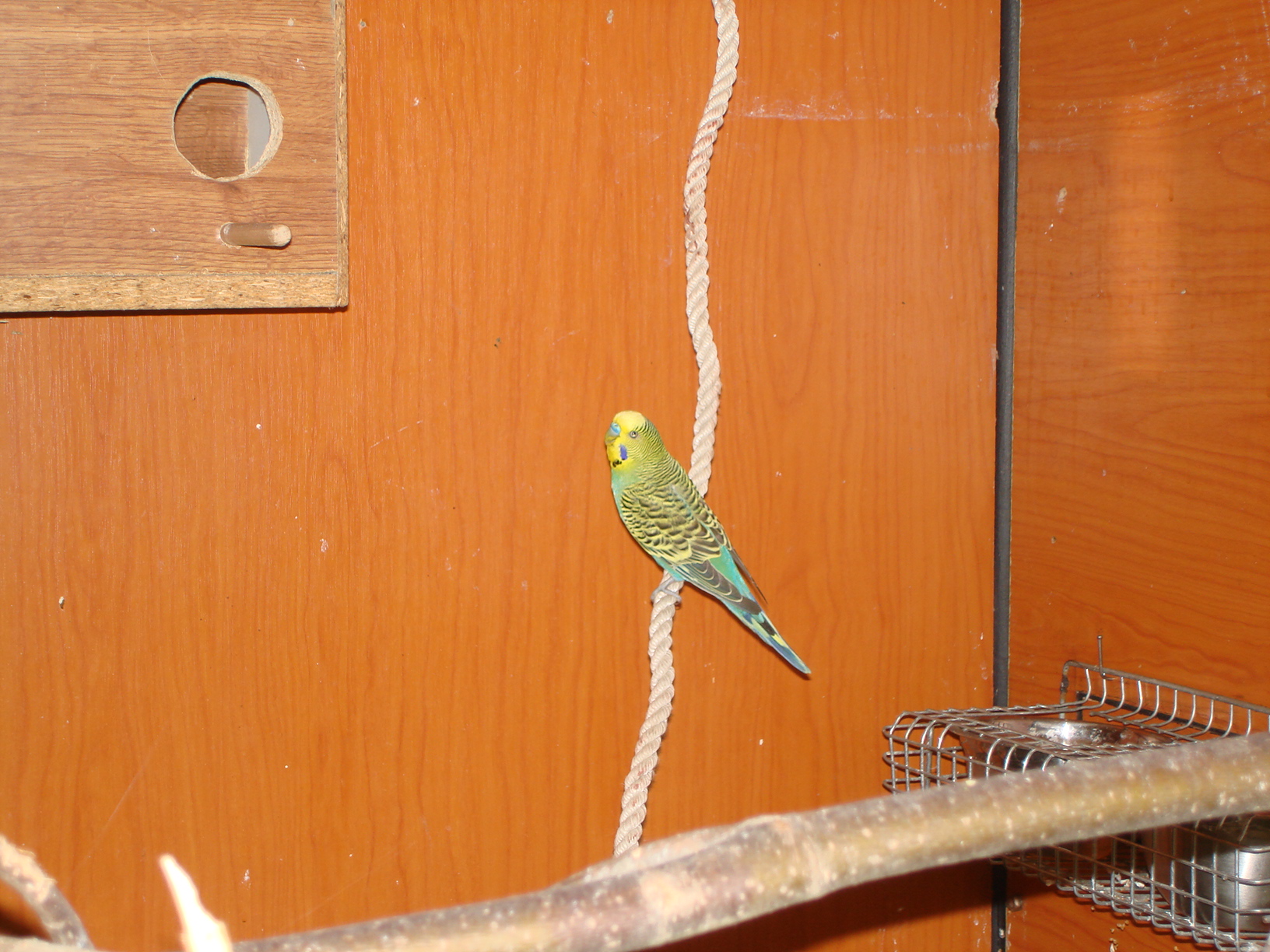 DSC04387.JPG