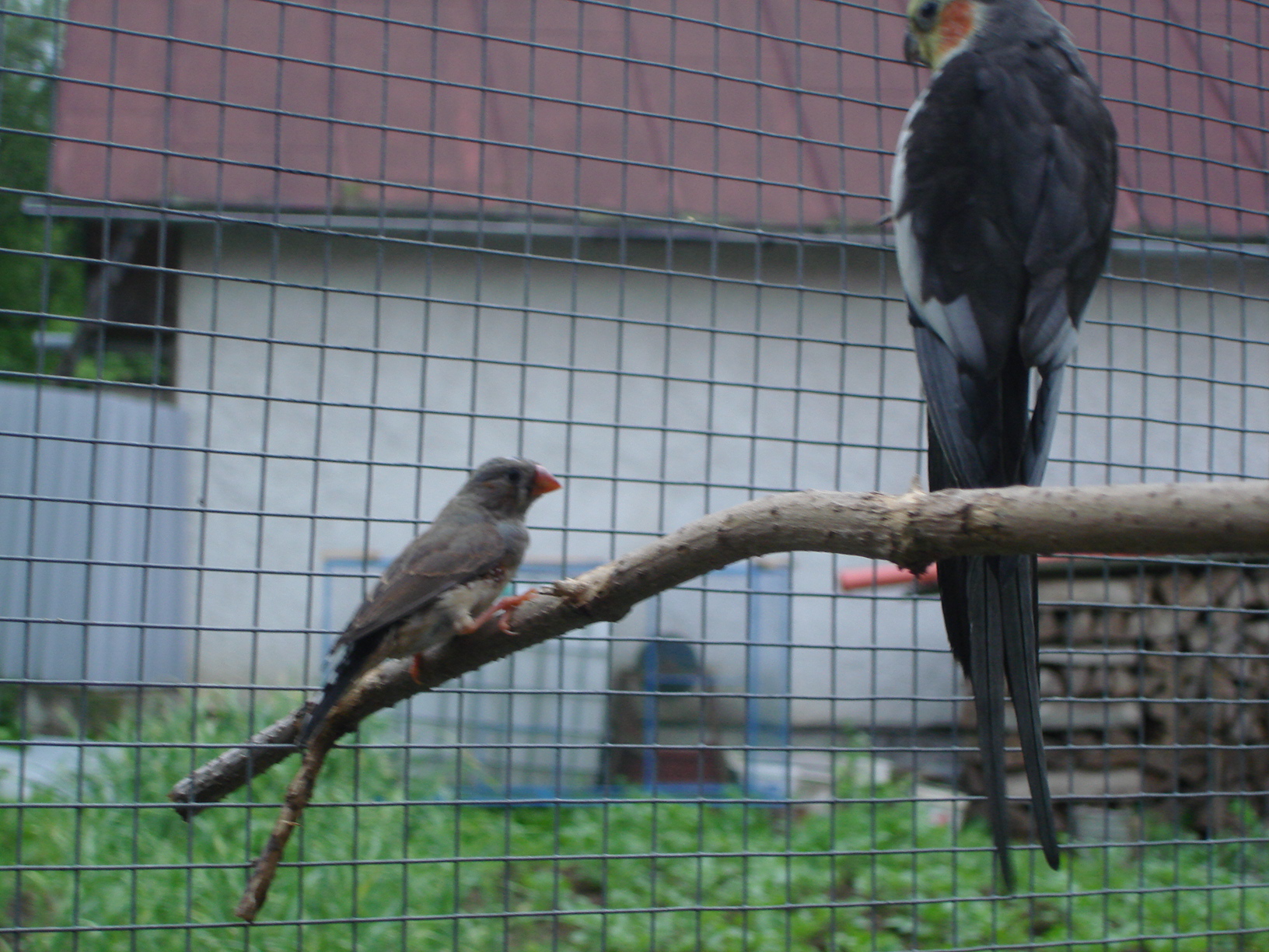 DSC04389.JPG