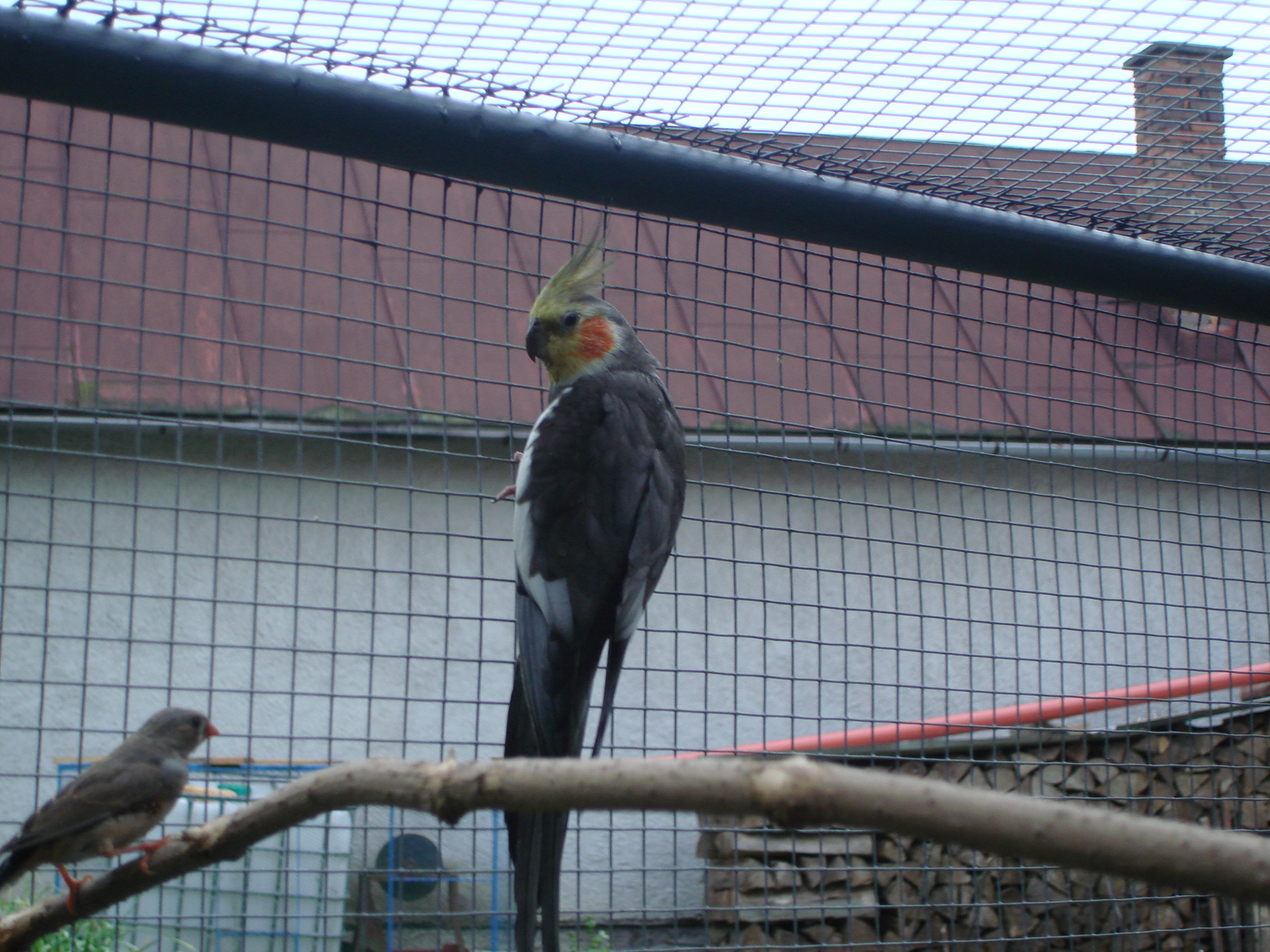 DSC04390.JPG
