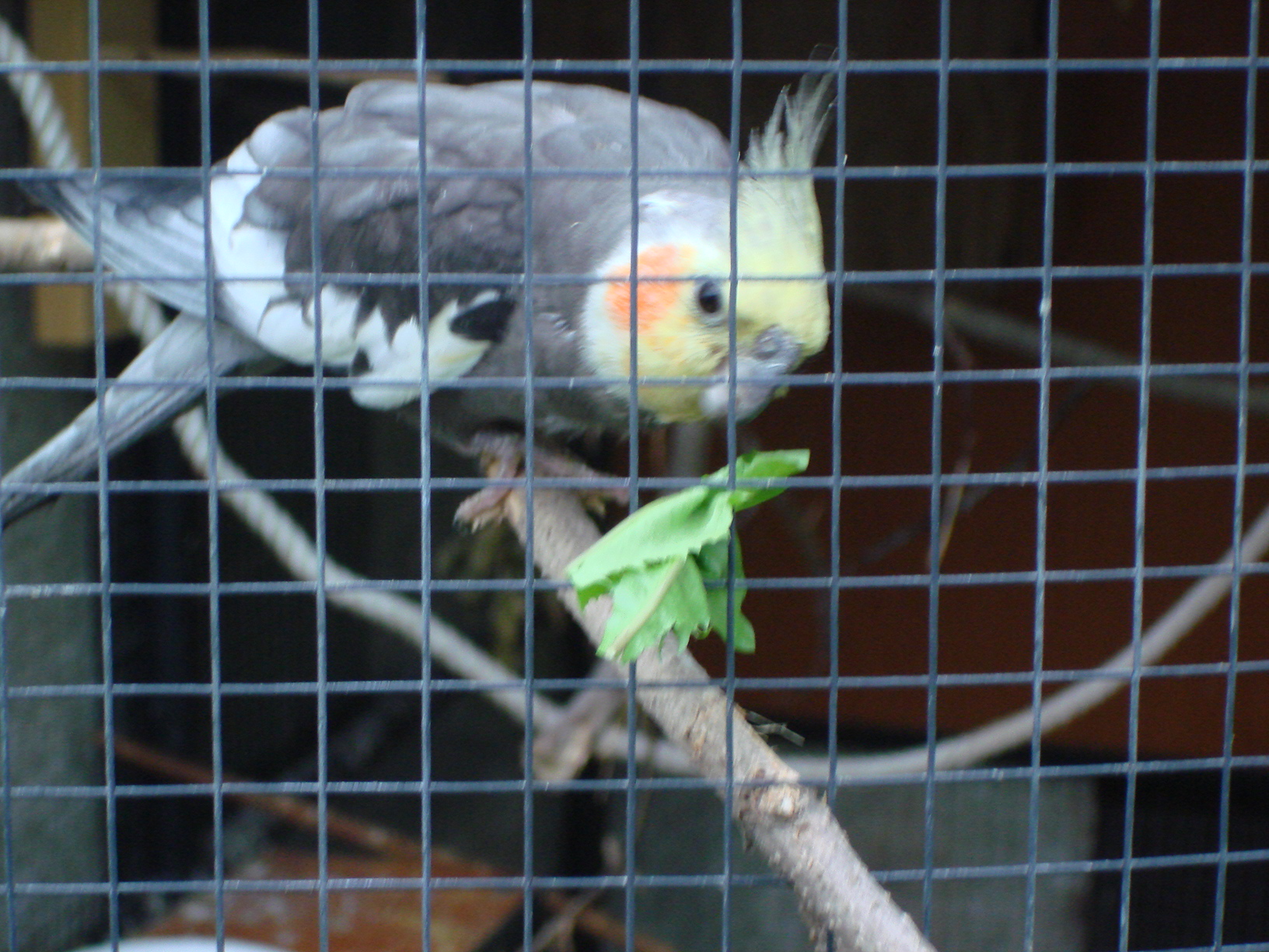 DSC04401.JPG