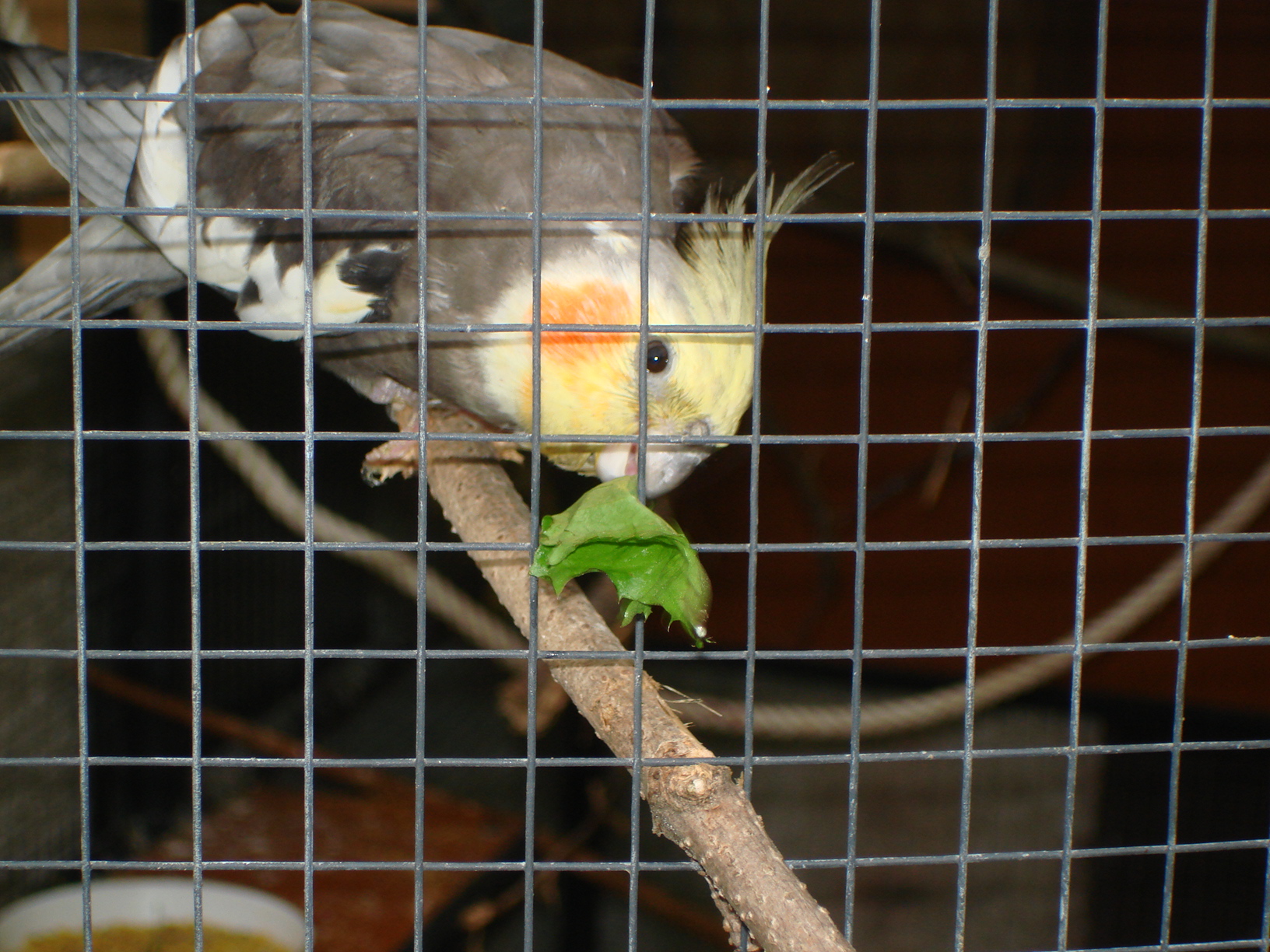 DSC04402.JPG
