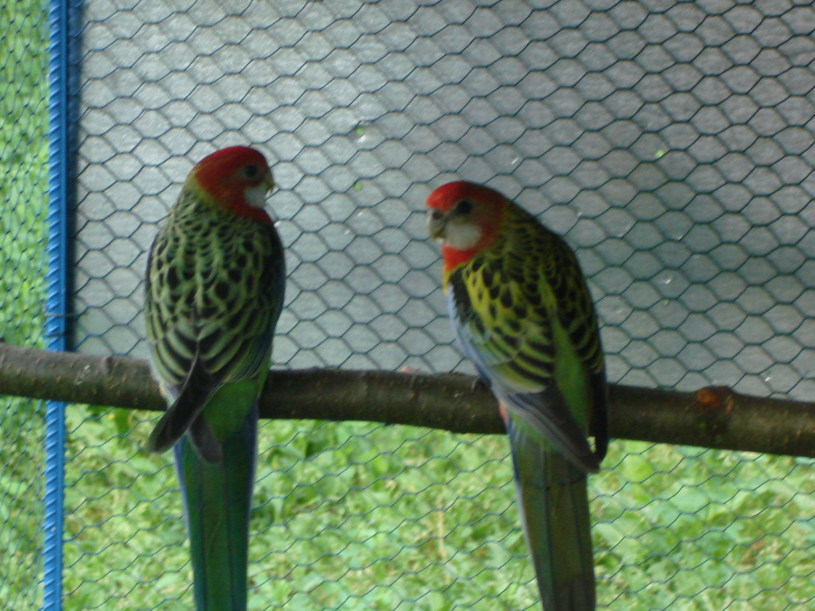 DSC04465.JPG