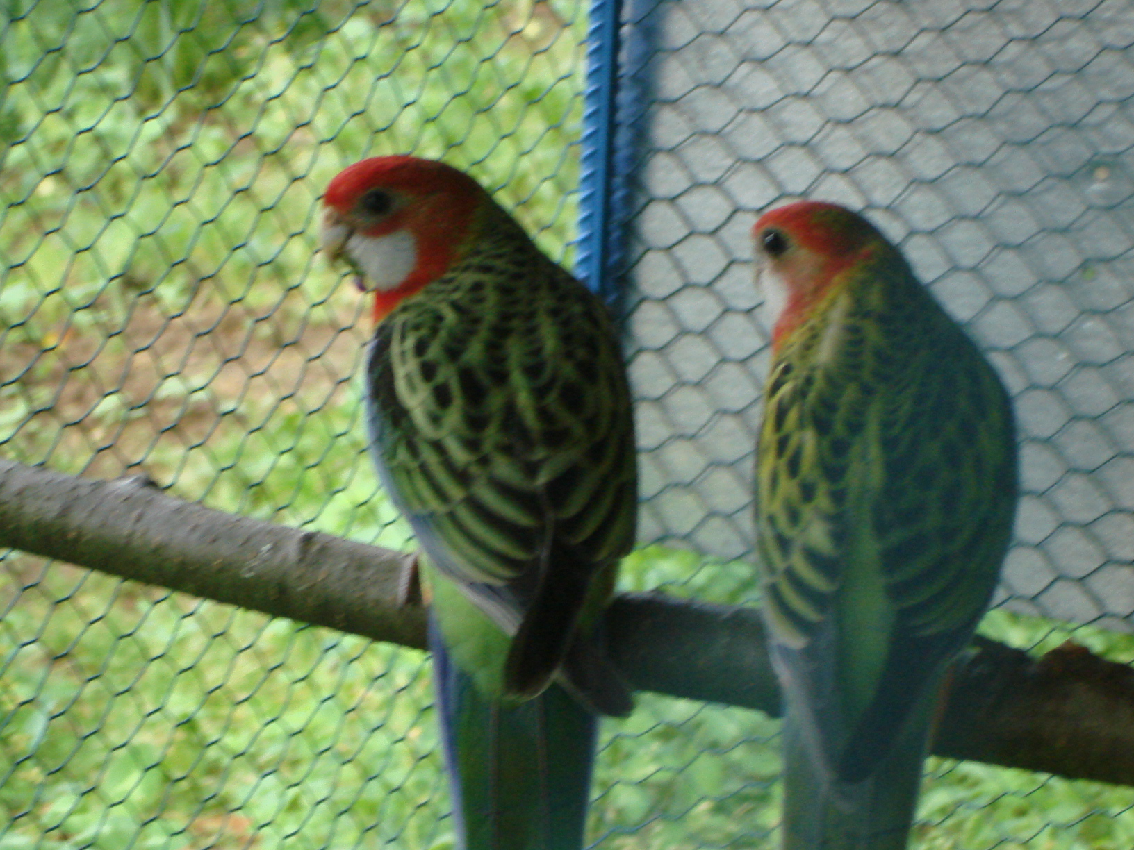 DSC04466.JPG