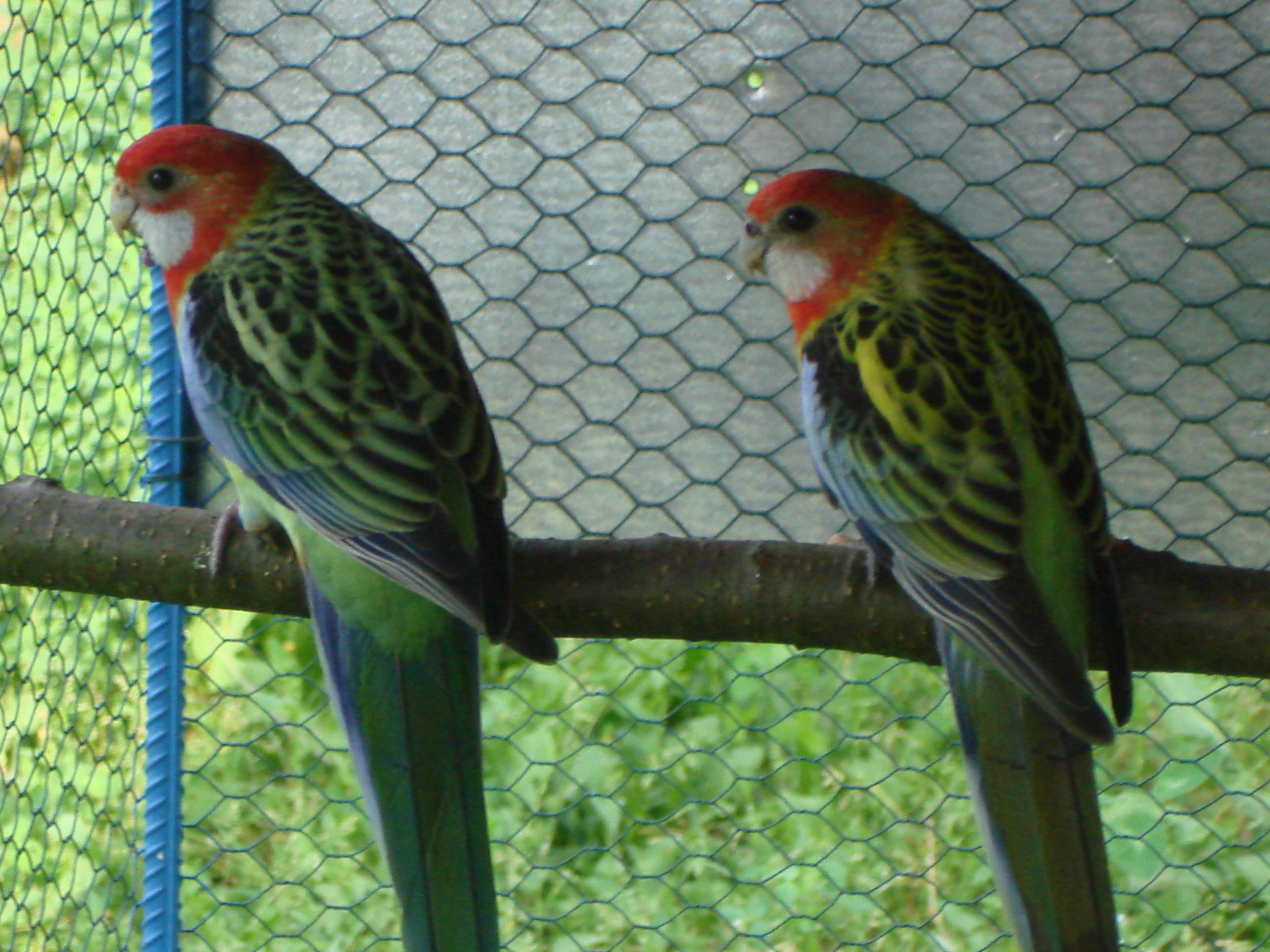 DSC04469.JPG