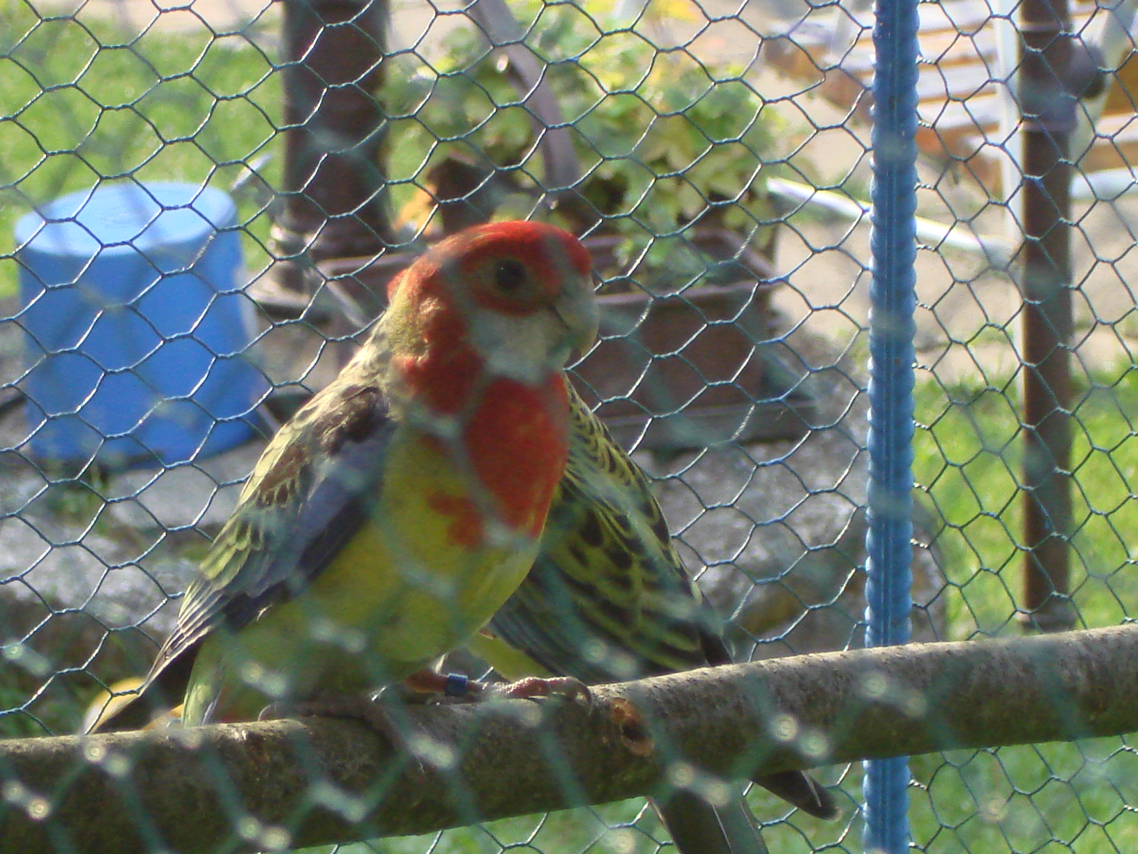 DSC04470.JPG