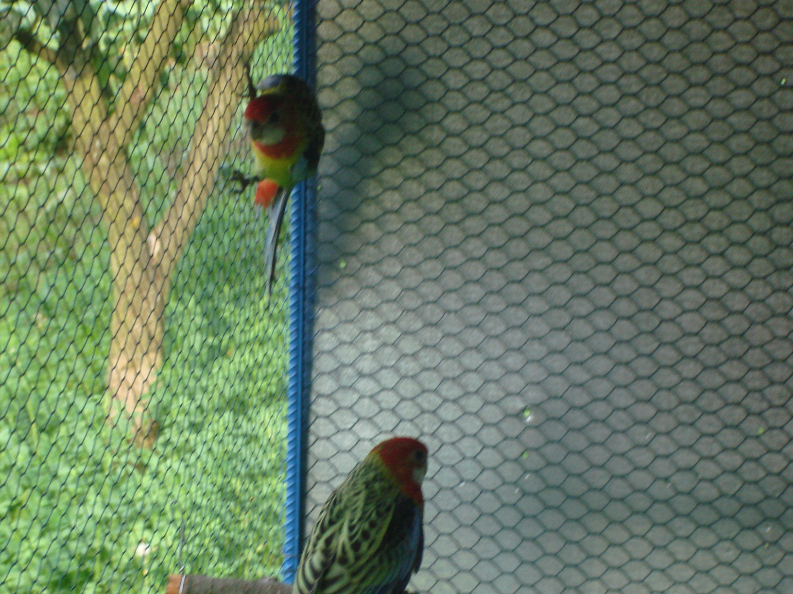 DSC04474.JPG