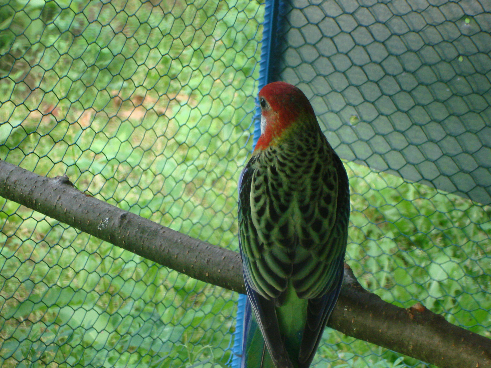 DSC04475.JPG