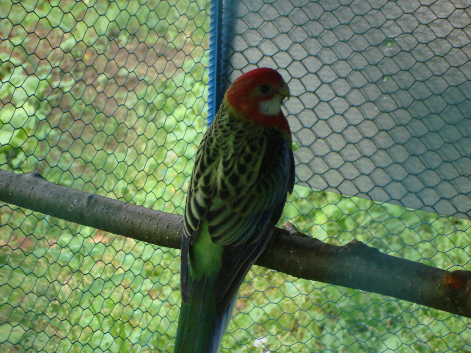 DSC04476.JPG