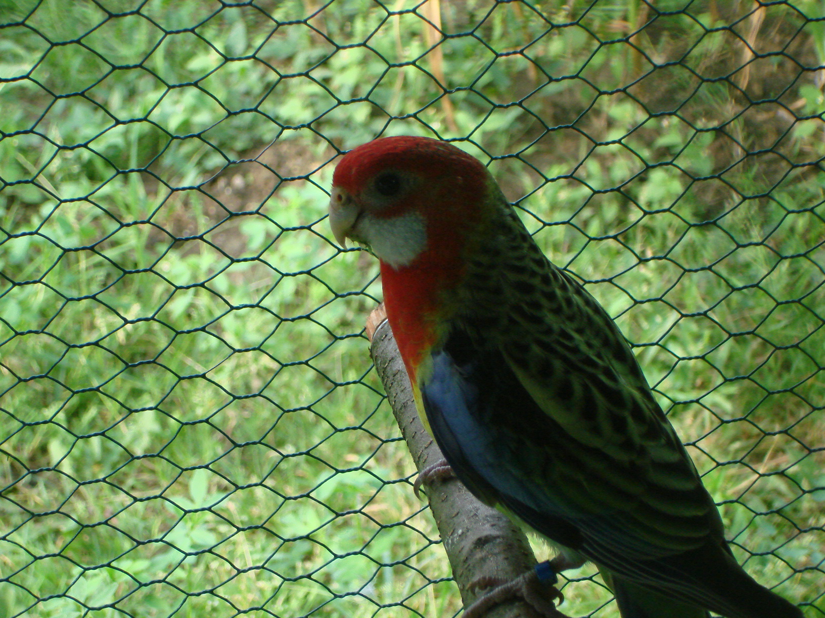 DSC04477.JPG