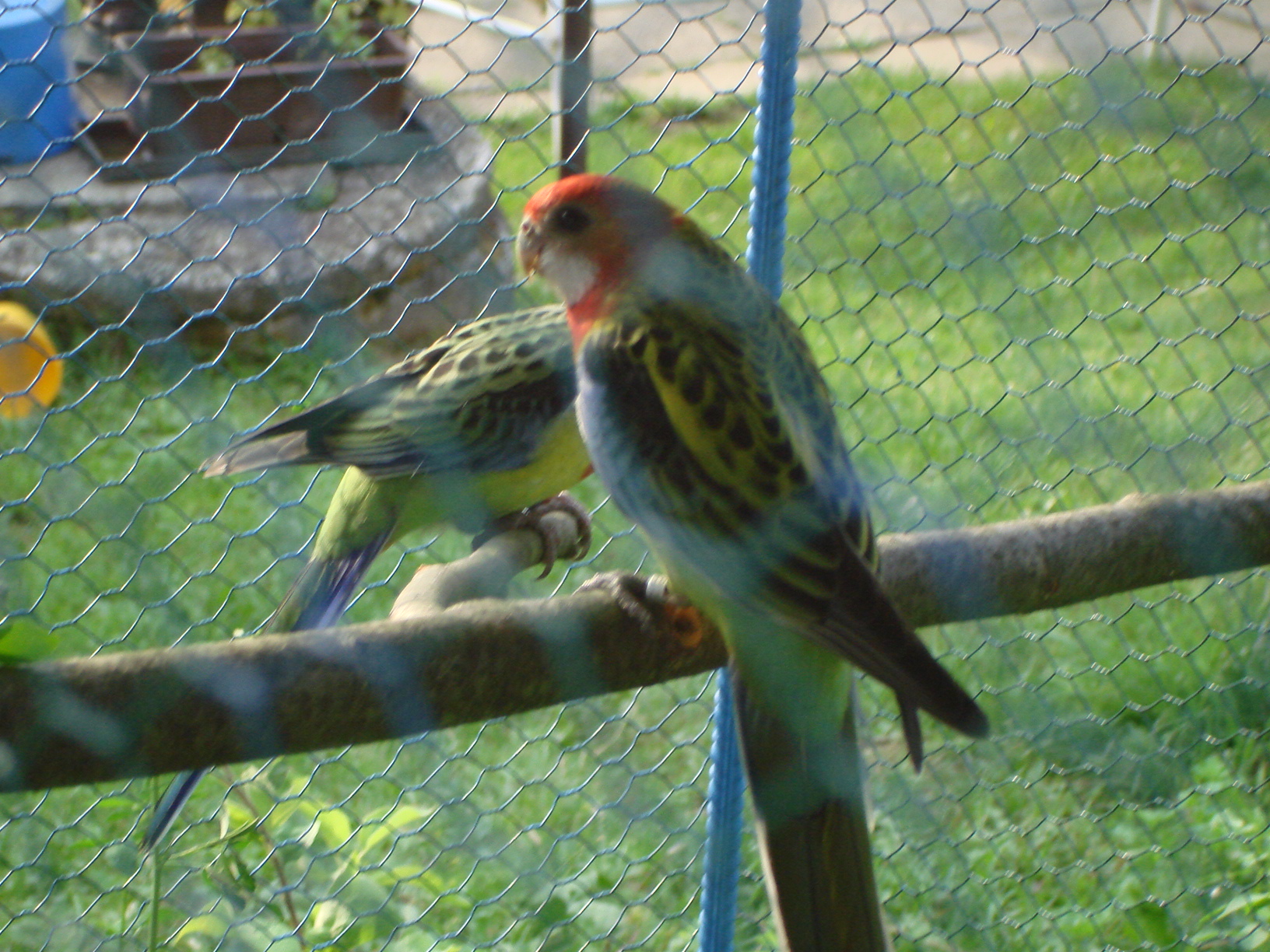 DSC04478.JPG