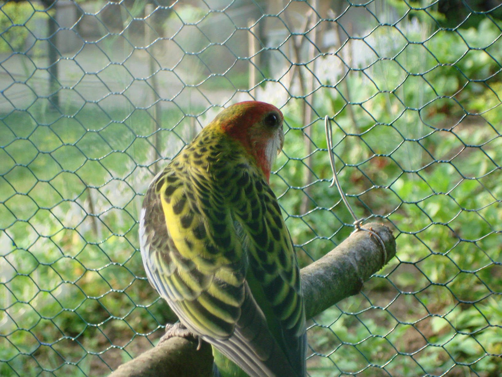 DSC04480.JPG