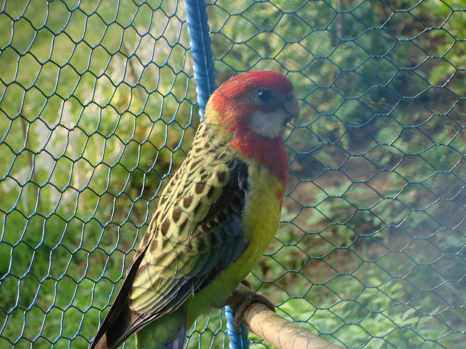 DSC04482.JPG