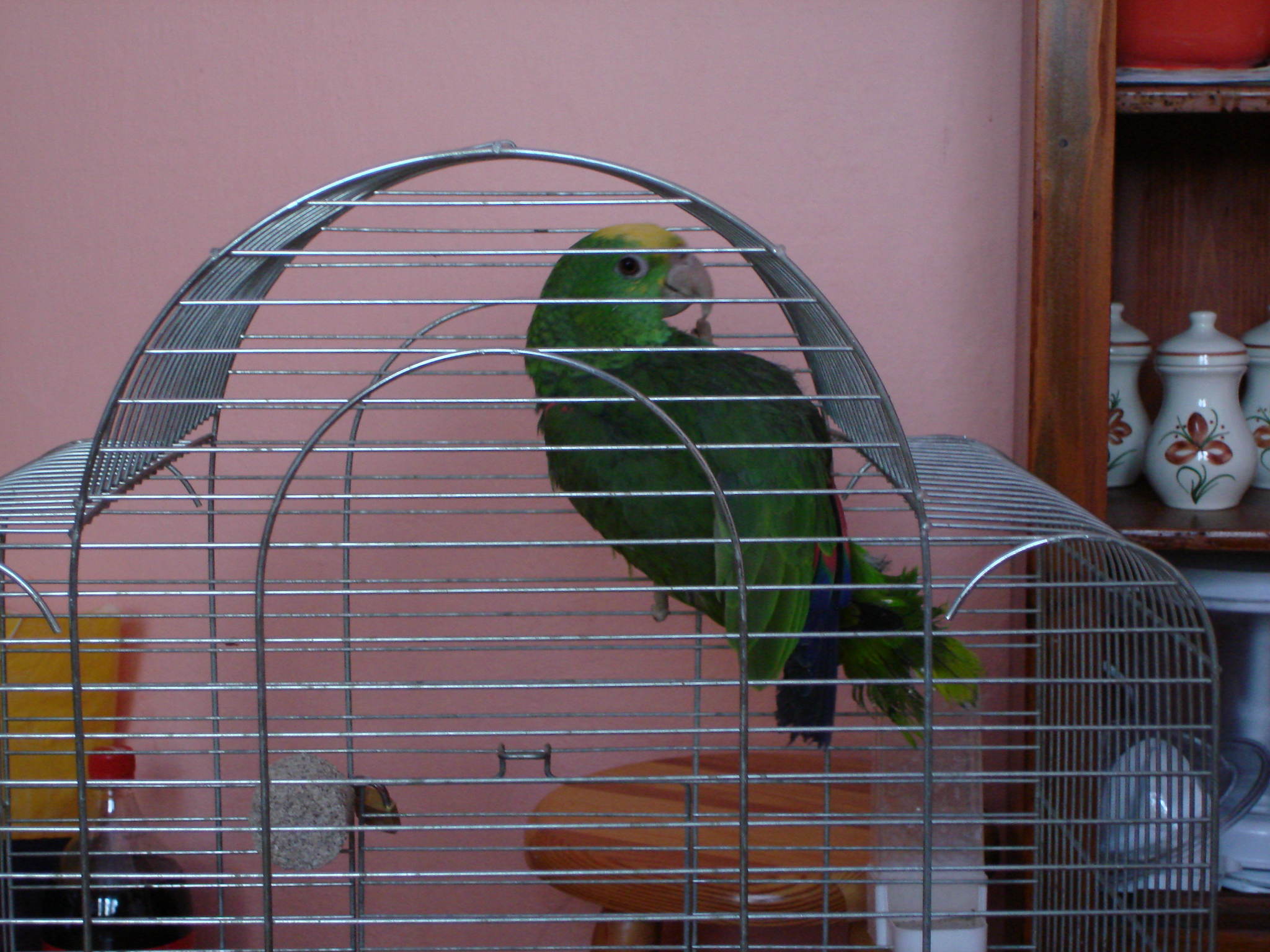 DSC04904.JPG