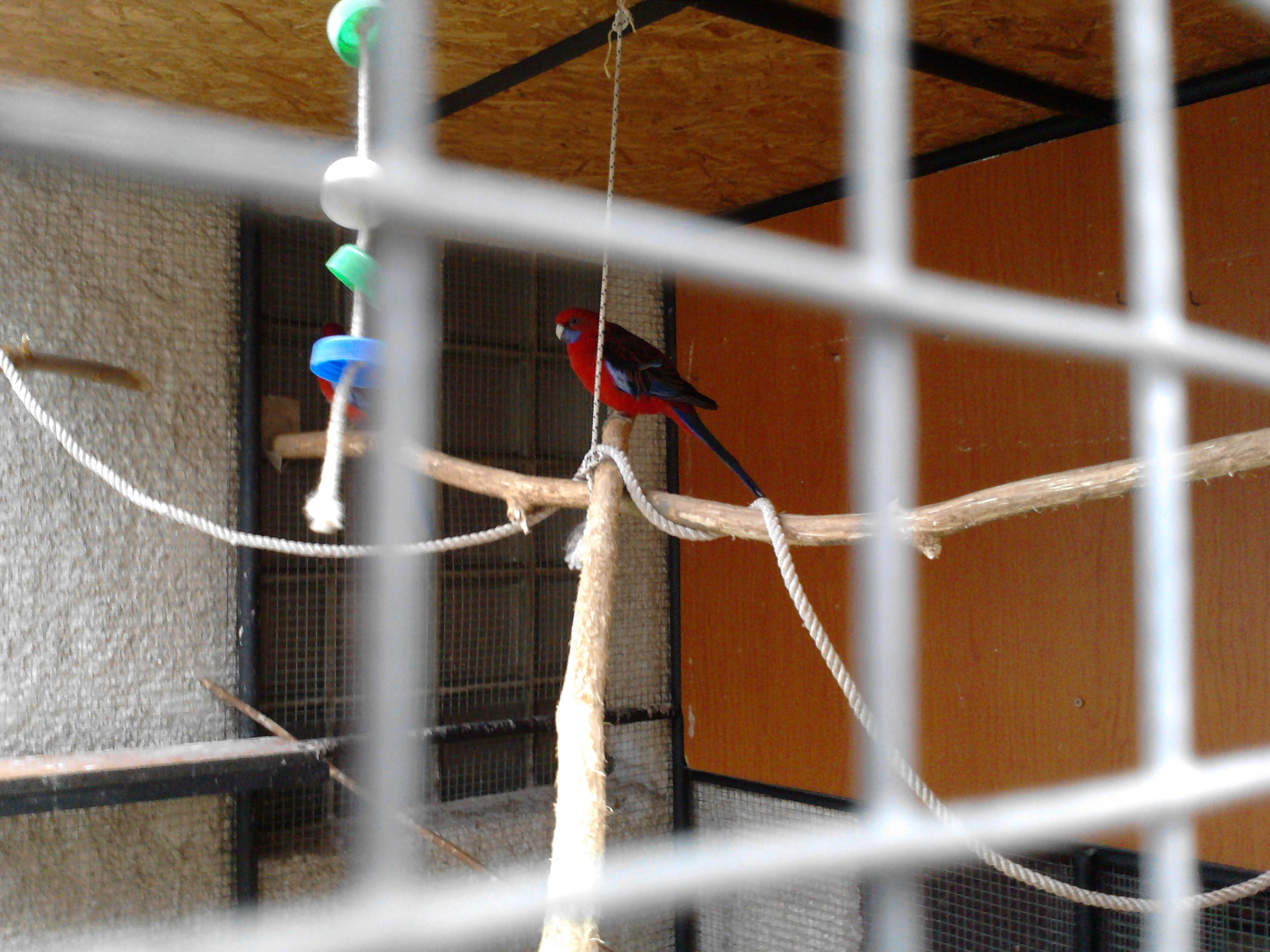P060211_08.48_[02].jpg