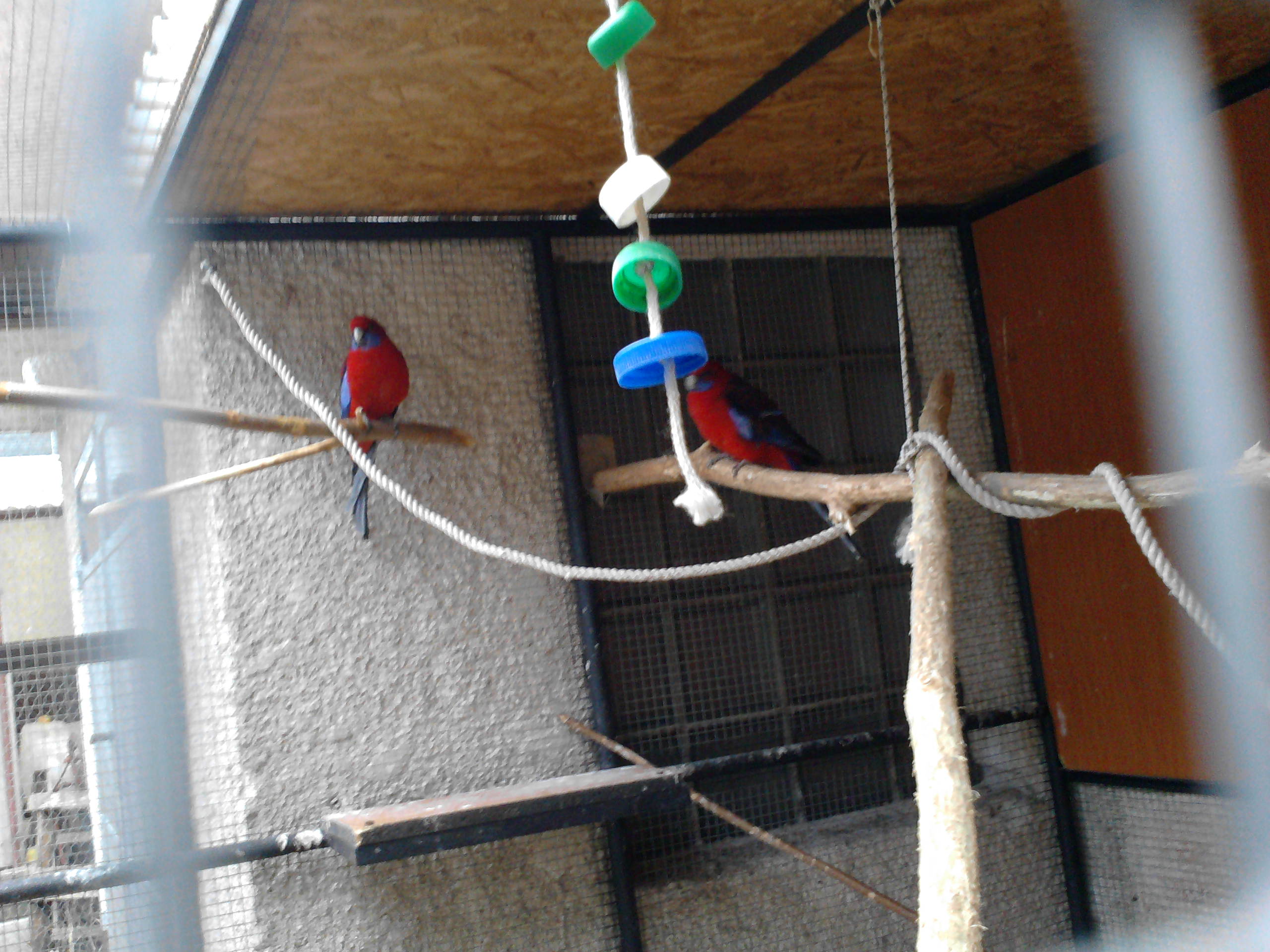 P060211_08.49_[01].jpg