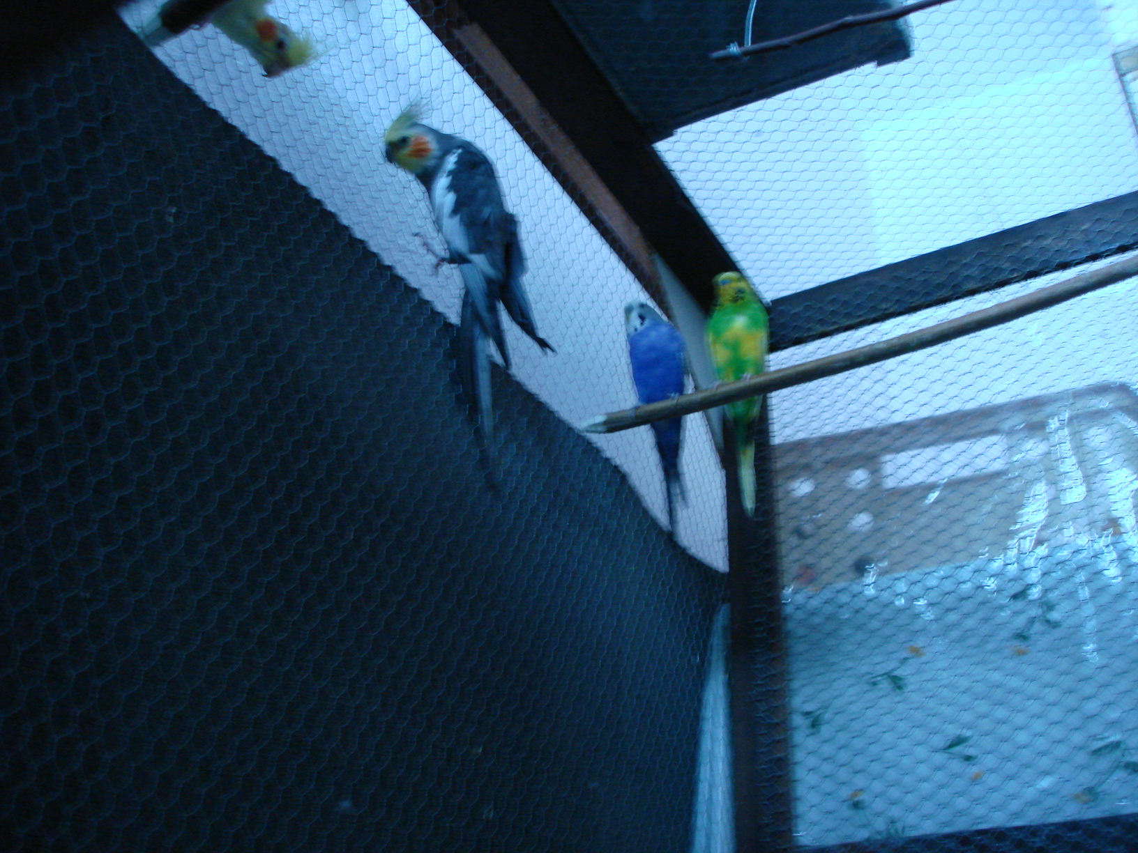 19.04.2009 068.jpg